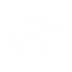 Professional technical consulting